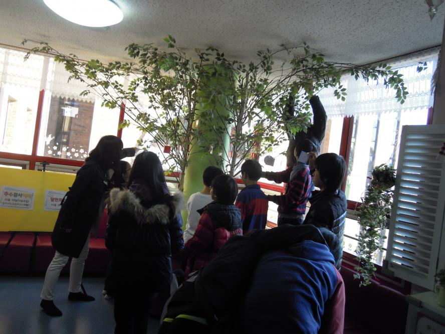 DSCN5219.JPG