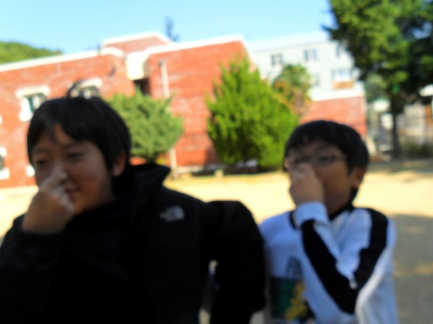 SAM_0824.JPG